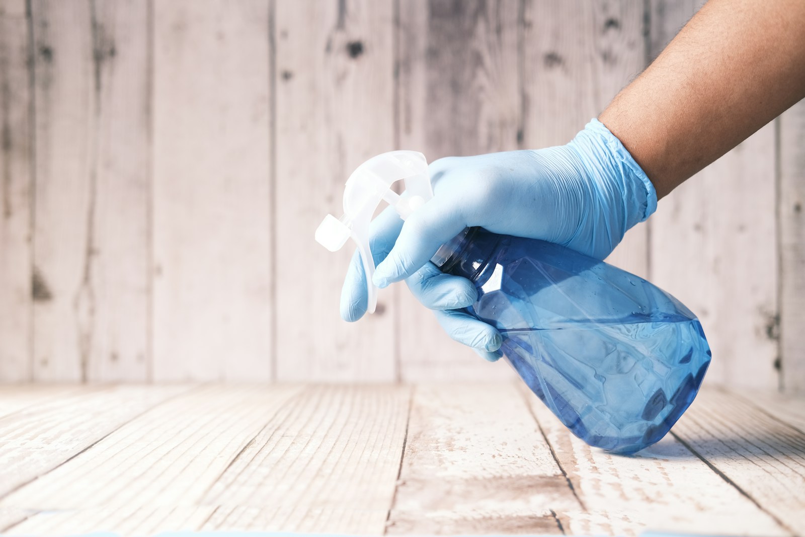 Domestic Angels – Female Led Cleaning Franchise
